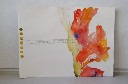 gladiolus - akvarel P 56 x 76 cm