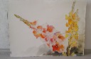 gladiolus - akvarel P 56 x 76 cm