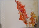 gladiolus - akvarel P 56 x 76 cm