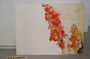 gladiolus - akvarel P 56 x76 cm